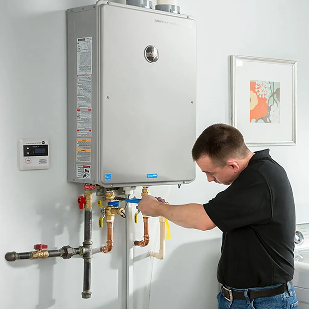 tankless water heater repair in Mulkeytown, IL